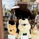 박순용정형외과의원 이미지