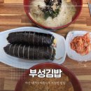 부성김밥 | 마산 댓거리 번개시장 김밥 아침식사 가능한 밥집 부성김밥