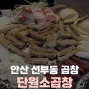 단원병원뒤 | 안산 선부동 곱창 맛집 단원소곱창 대만족 간단 후기