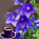 노인나라 이미지