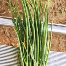 잘커농장 이미지