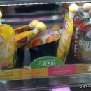스퀴즈미 이미지