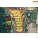 썬플라워태양광발전소 이미지