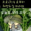 비젼스쿨 Daum카페