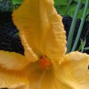 25시 행정사 이미지