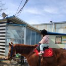 장화공원 | 주말 나들이] 대경체험목장 승마 후기 · 대구 스타디움 · 신세계백화점 포토존 · 달성공원까지 총정리