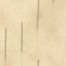 김포장기한의원 이미지