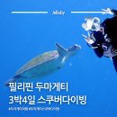 다우마트 | 필리핀 두마게티 스쿠버다이빙 여행 3박4일 일정 추천