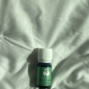 메이창 | 메이창 아로마 에센셜 오일 리뷰 – 싱그러운 향기로 스트레스 해소 & 힐링하기 🌿