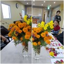 희망나무노인주야간보호센터 네이버블로그