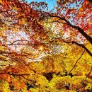 남도예담 이미지