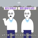 페트리코 이미지