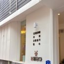 봄을담아 이미지