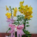 늘푸른가정의원 이미지