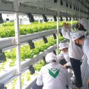 광형농장 이미지