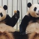 생활을판다 이미지