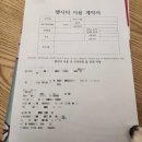 (주)펫둥이 | (시흥 정왕동 펫시터 후기) with 코숏 고양이 뚱이,앵듀,이쁜이,찡찡이