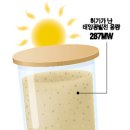 벨리 태양광발전소 이미지