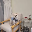 엘림네일 이미지
