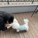라네프살롱 이미지