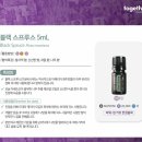 스프루스업