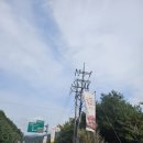 인제에서 꽃길만 걷자! 인제 꽃축제 방문 후기