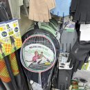 레스피아 | 🏸 구갈동 레스피아 배드민턴 후기 (다이소 찐 라켓으로 다시 도전!)