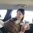 영이네꽃집 이미지