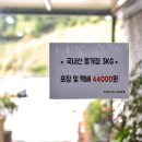 순광로 이미지