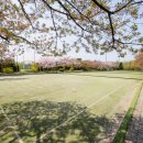 황성공원 풋살구장 이미지