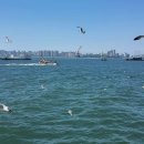 삶의 보람 이미지