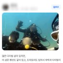 제주스쿠버스쿨 스쿠버다이빙 이미지