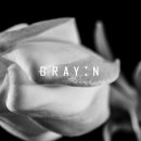 Gray안경 이미지