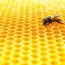 강동한방병원 이미지