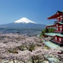 벚꽃화장실 이미지