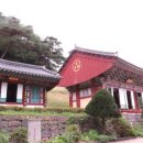 온새미로숲학교사회적협동조합 이미지