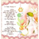 샬롬 이미지