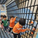 &#39;전쟁기념관 어린이박물관&#39; 견학🇰🇷-1 이미지