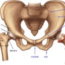 골반교정 필라테스 이미지