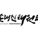 손태진 태권도장 이미지