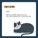 만수동물병원