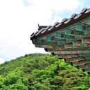 명동사우나 네이버블로그
