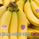 진차이 이미지