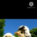 남원읍-7 이미지