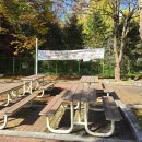 파크베어 | 세종 데이트 베어트리파크 단풍 솔직후기