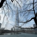 양성한의원 | [명쾌한 한의원] 1년5개월간의 치료 후..