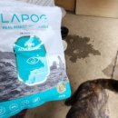 정모소프트 이미지