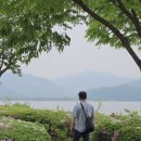 서울남양주 동물약국 | 서울근교 피크닉 명소 남양주 다산생태공원 다녀온 후기 (돗자리, 주차, 반려동물 총정리)