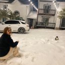 오다109 이미지