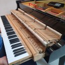 평리초등학교병설유치원 | 평가ㅣ[대구 서구 피아노][평리초등학교 피아노][평리 롯데캐슬][평리 푸르지오][서도초등학교 피아노]